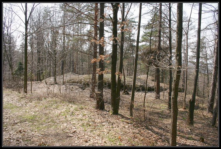  MO-S 40 Nad silnic 